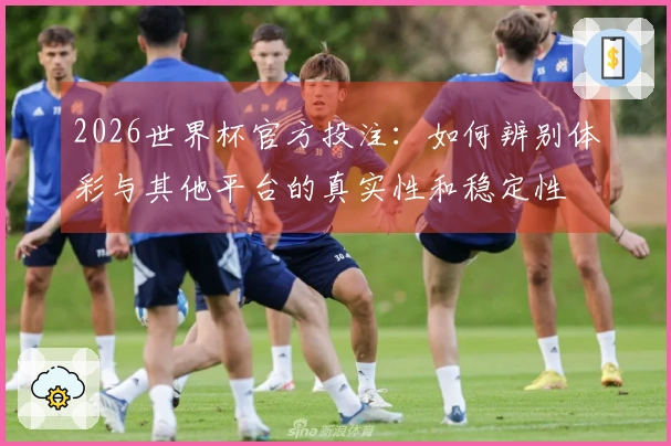 2026世界杯官方投注：如何辨别体彩与其他平台的真实性和稳定性