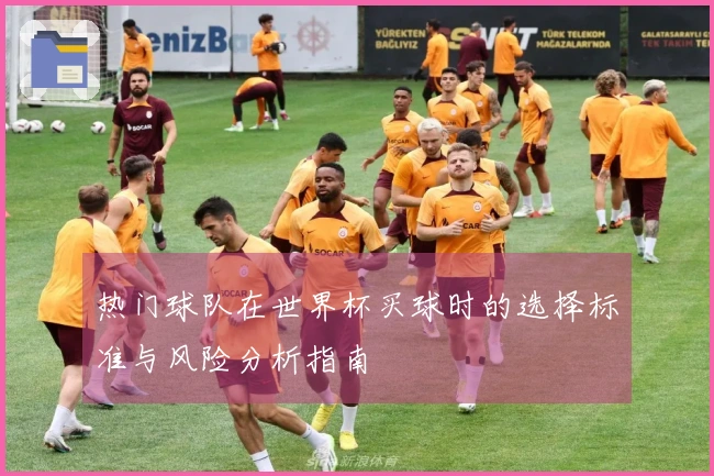 热门球队在世界杯买球时的选择标准与风险分析指南