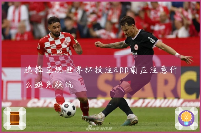 选择正规世界杯投注app前应注意什么避免踩坑