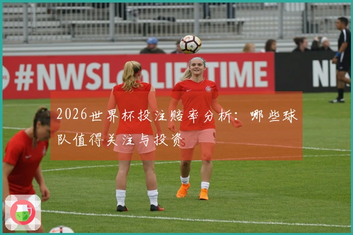 2026世界杯投注赔率分析：哪些球队值得关注与投资