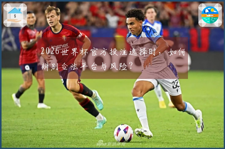 2026世界杯官方投注选择时，如何辨别合法平台与风险？