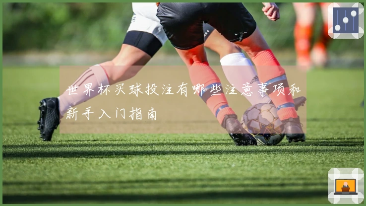 世界杯买球投注有哪些注意事项和新手入门指南