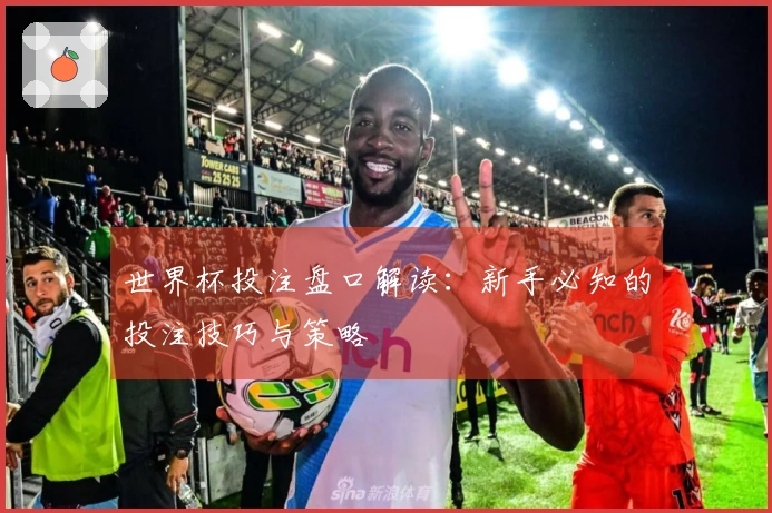 世界杯投注盘口解读：新手必知的投注技巧与策略