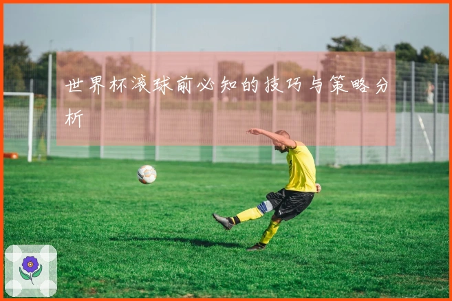 世界杯滚球前必知的技巧与策略分析