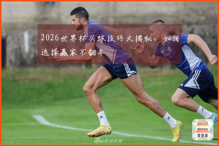 2026世界杯买球技巧大揭秘，如何选择赢家不翻车