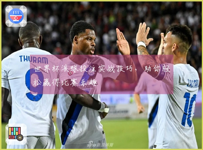 世界杯滚球投注实战技巧，助你轻松赢得比赛乐趣