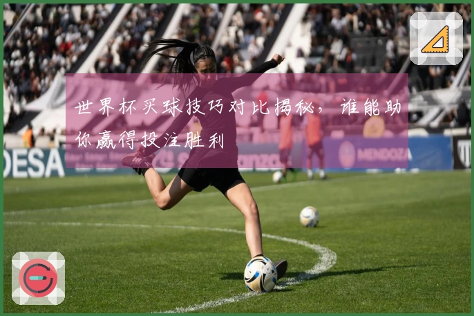 世界杯买球技巧对比揭秘，谁能助你赢得投注胜利