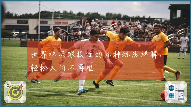 世界杯买球投注的几种玩法详解，轻松入门不再难