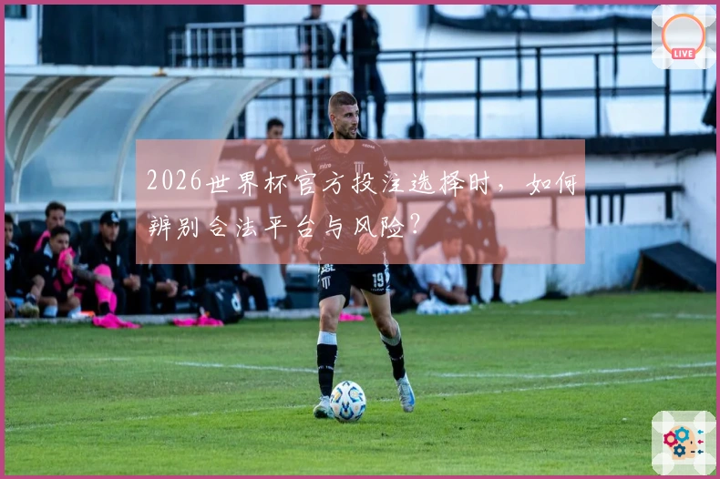 2026世界杯官方投注选择时，如何辨别合法平台与风险？