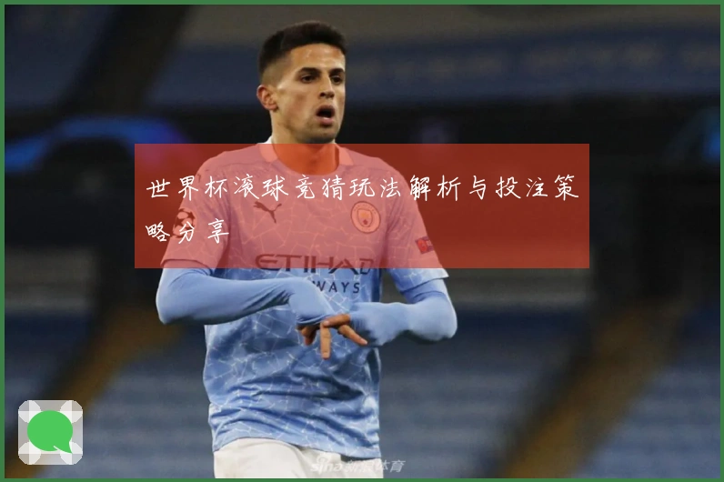 世界杯滚球竞猜玩法解析与投注策略分享