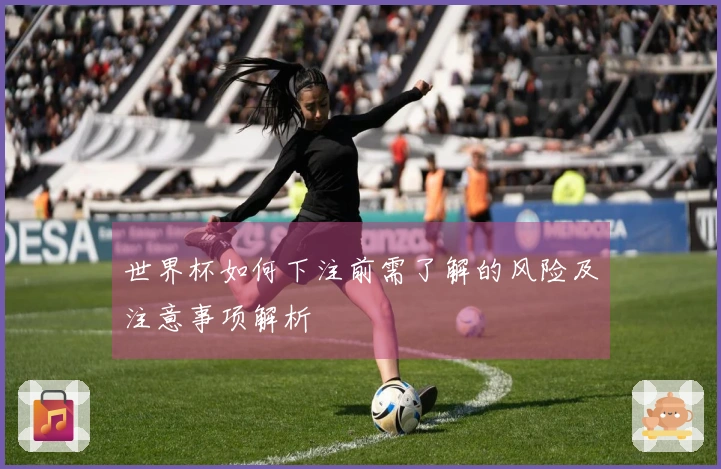 世界杯如何下注前需了解的风险及注意事项解析