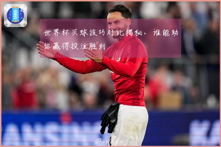 世界杯买球技巧对比揭秘，谁能助你赢得投注胜利