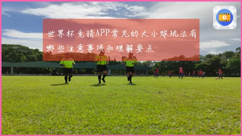 世界杯竞猜APP常见的大小球玩法有哪些注意事项和理解要点