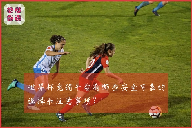 世界杯竞猜平台有哪些安全可靠的选择和注意事项？
