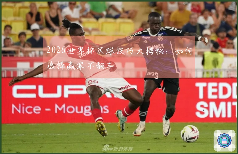 2026世界杯买球技巧大揭秘，如何选择赢家不翻车