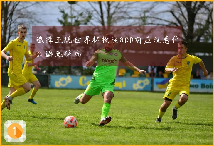选择正规世界杯投注app前应注意什么避免踩坑
