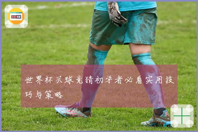 世界杯买球竞猜初学者必看实用技巧与策略