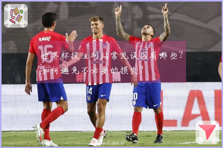 世界杯投注网站常见误区有哪些？如何避免不必要的损失？