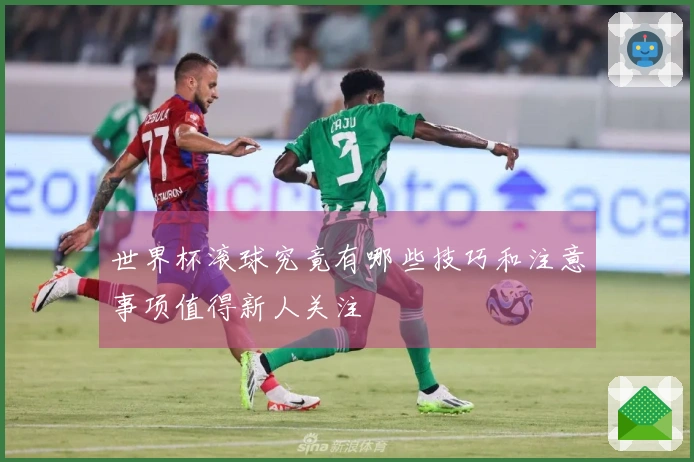 世界杯滚球究竟有哪些技巧和注意事项值得新人关注