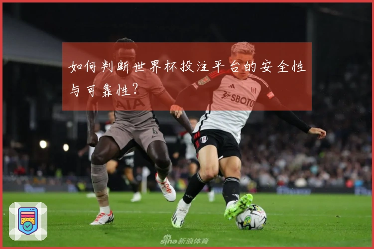 如何判断世界杯投注平台的安全性与可靠性？