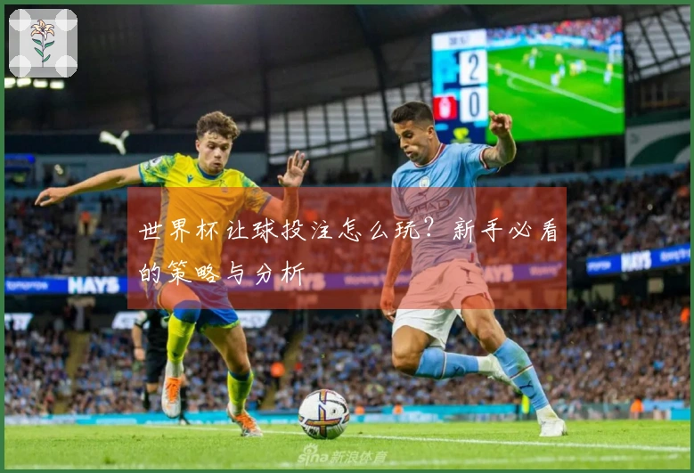 世界杯让球投注怎么玩？新手必看的策略与分析