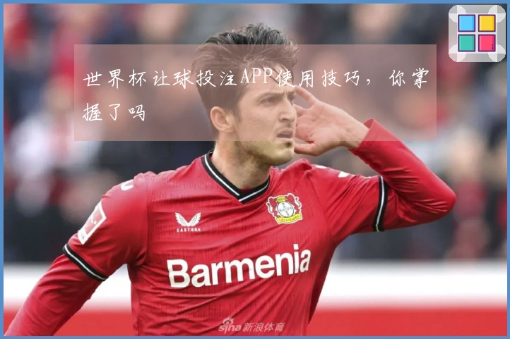 世界杯让球投注APP使用技巧，你掌握了吗