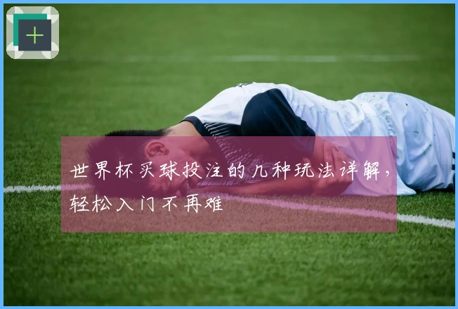 世界杯买球投注的几种玩法详解，轻松入门不再难