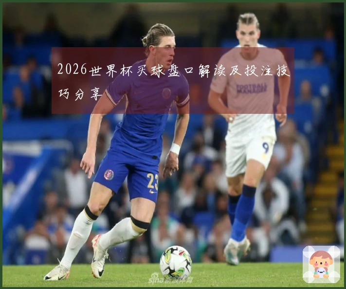2026世界杯买球盘口解读及投注技巧分享