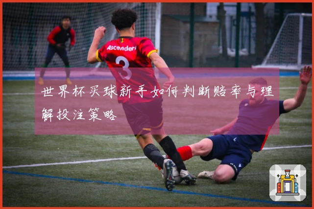 世界杯买球新手如何判断赔率与理解投注策略