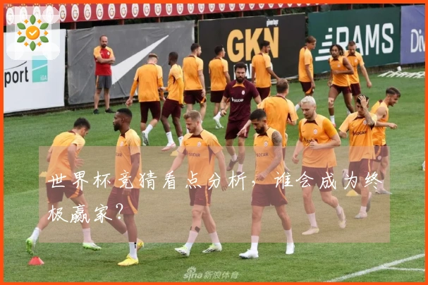 世界杯竞猜看点分析，谁会成为终极赢家？