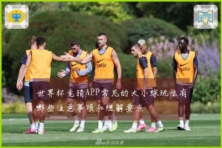 世界杯竞猜APP常见的大小球玩法有哪些注意事项和理解要点