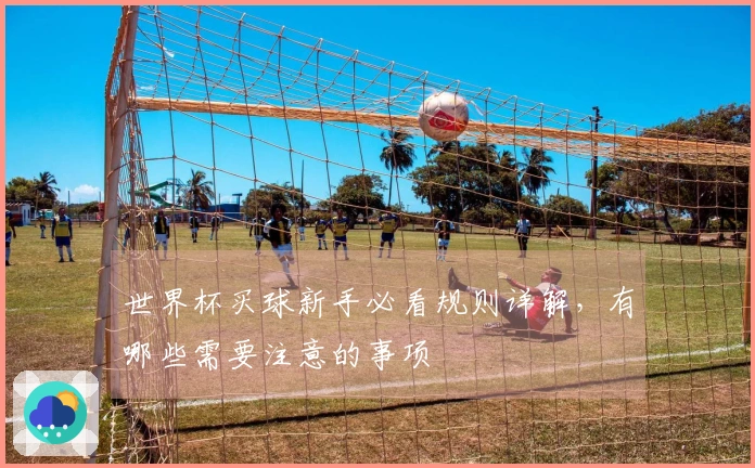 世界杯买球新手必看规则详解，有哪些需要注意的事项