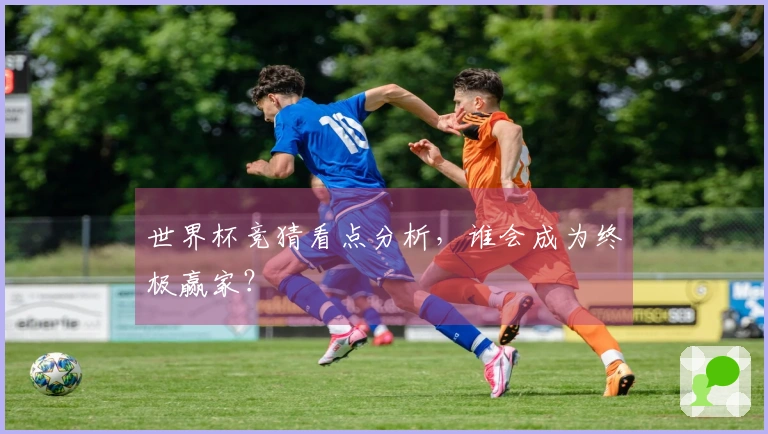 世界杯竞猜看点分析，谁会成为终极赢家？