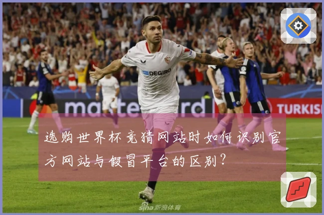 选购世界杯竞猜网站时如何识别官方网站与假冒平台的区别？