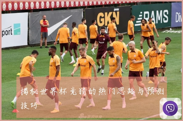 揭秘世界杯竞猜的热门思路与预测技巧