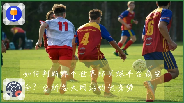 如何判断哪个世界杯买球平台最安全？分析各大网站的优劣势