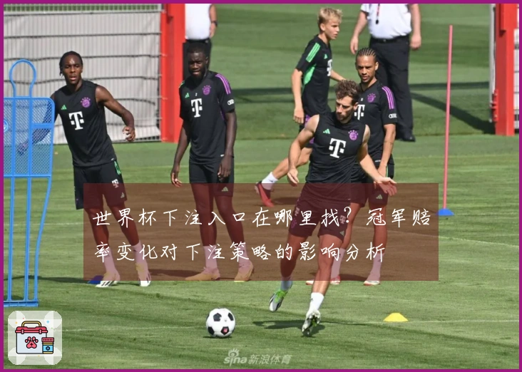 世界杯下注入口在哪里找？冠军赔率变化对下注策略的影响分析
