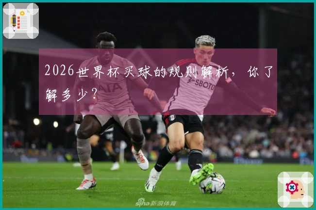 2026世界杯买球的规则解析，你了解多少？
