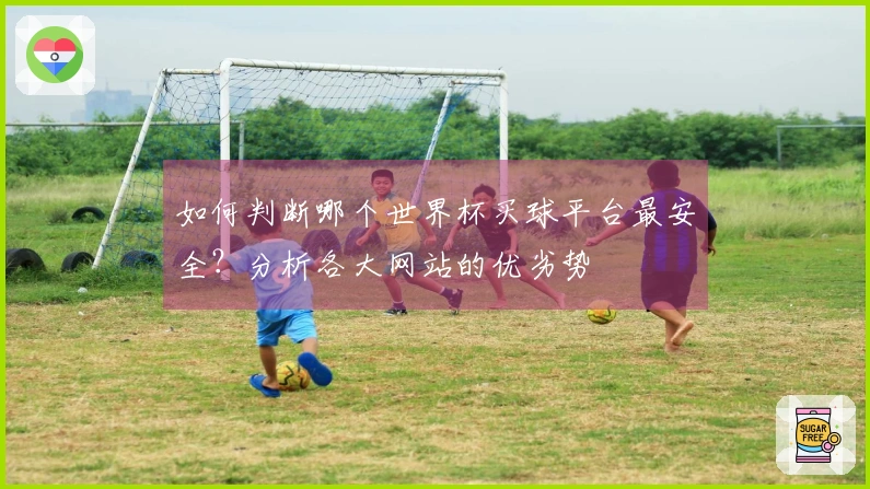 如何判断哪个世界杯买球平台最安全？分析各大网站的优劣势