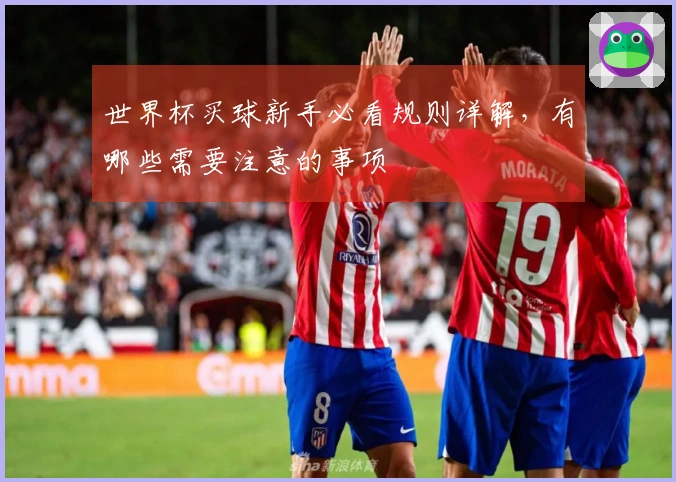 世界杯买球新手必看规则详解，有哪些需要注意的事项