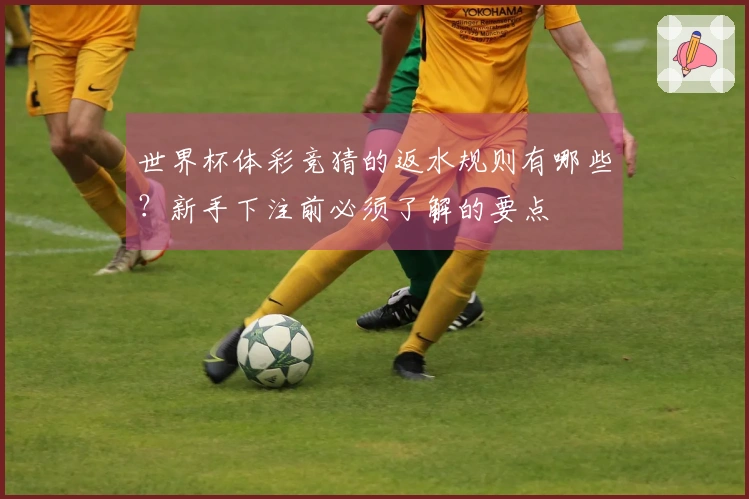 世界杯体彩竞猜的返水规则有哪些？新手下注前必须了解的要点