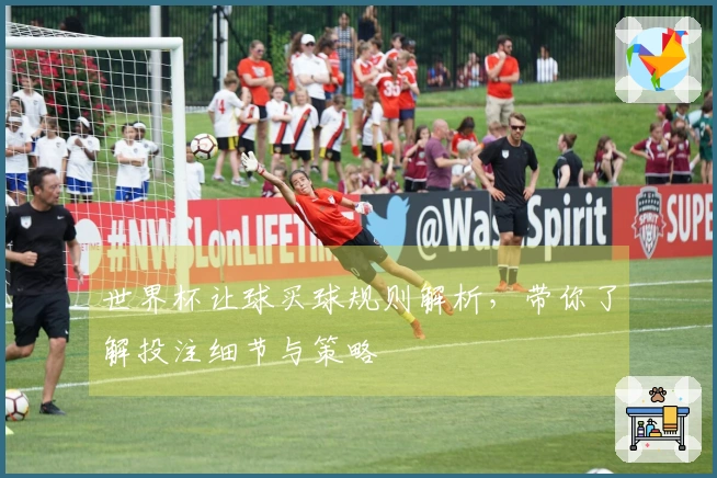 世界杯让球买球规则解析，带你了解投注细节与策略