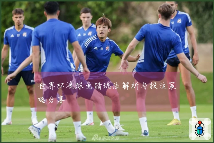 世界杯滚球竞猜玩法解析与投注策略分享