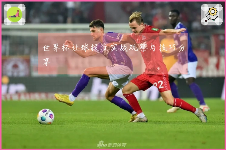世界杯让球投注实战观察与技巧分享