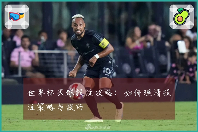 世界杯买球投注攻略：如何理清投注策略与技巧